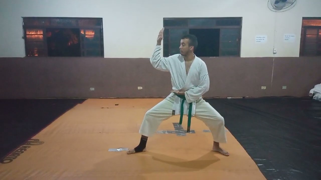 kihon troca de faixa verde. karatê Wado Ryu