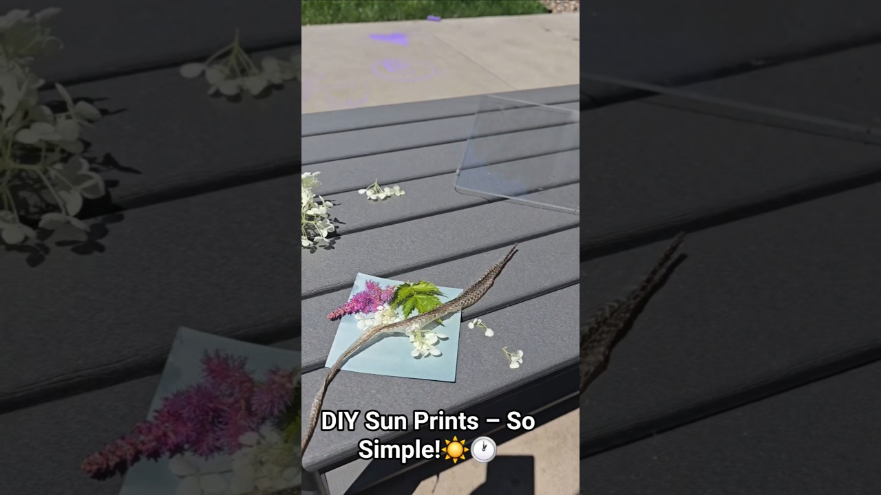 DIY Sun Prints &ndash; So Simple! #diy #cyanotype #sunprint #naturecrafts #STEAMprojects #science