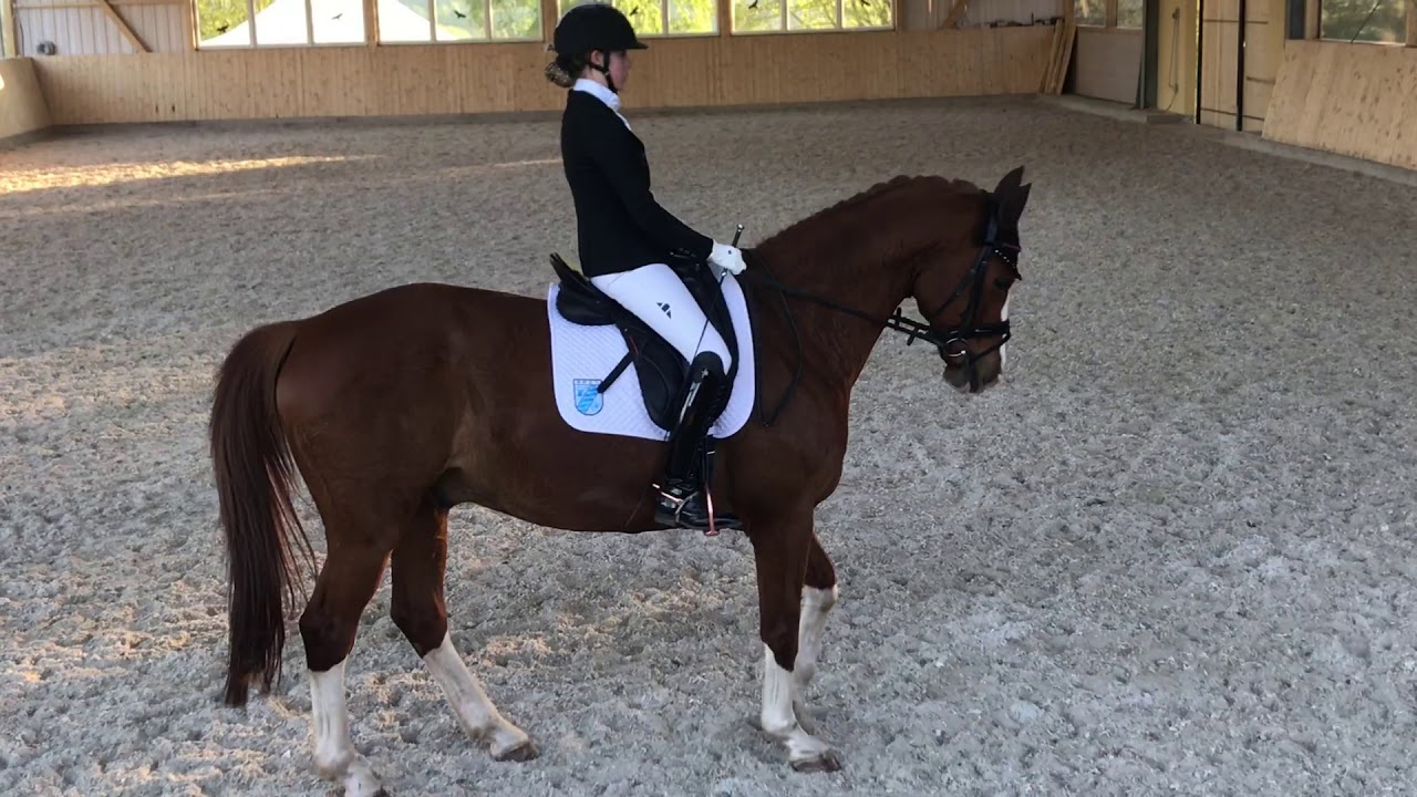 Angelina Kehr Quanteras M2