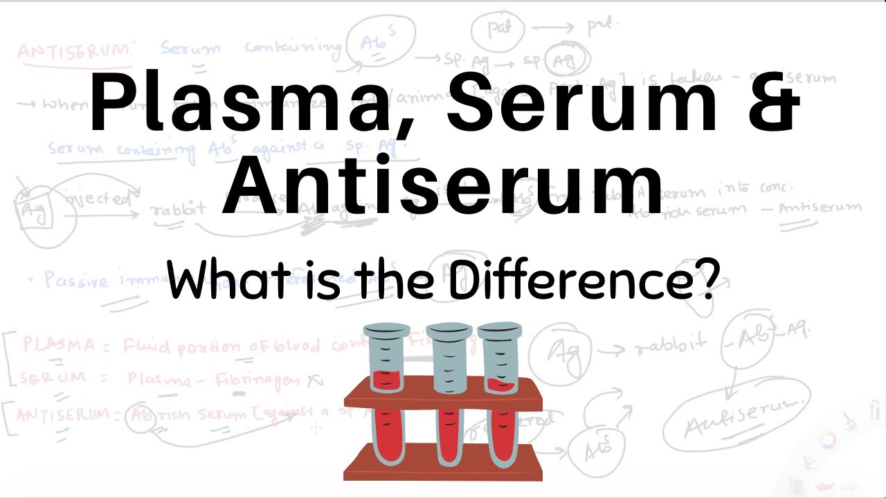 Plasma, Serum & Antiserum | Difference between Plasma, Serum & Antiserum | CSIR NET LifeScience