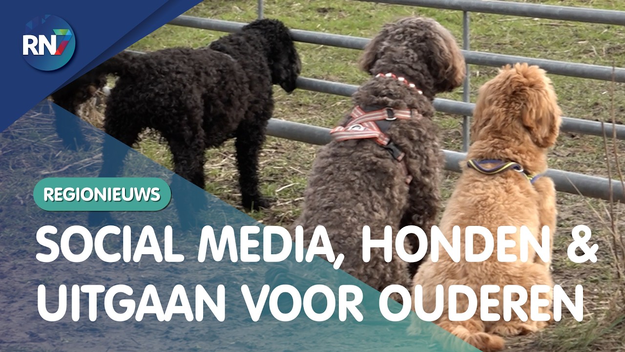 Donderdag 19 februari 2026  ||  RN7 REGIONIEUWS