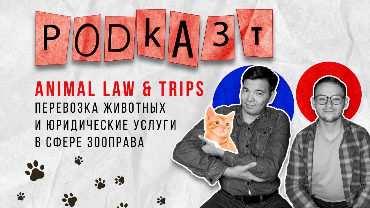 podКАЗt (Ep.4): ANIMAL LAW | перевозка животных и юридические услуги в сфере зооправа