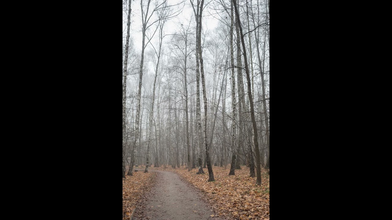 Любовь во тьме.Tati.