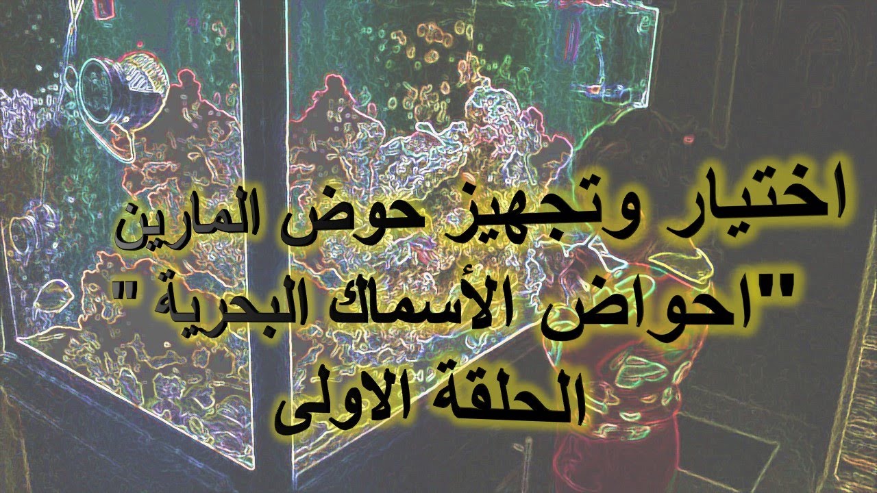 اسرار اختيار وتركيب أحواض المارين و نيمو للمبتدئين Coral Reef Aquarium Setup and selection