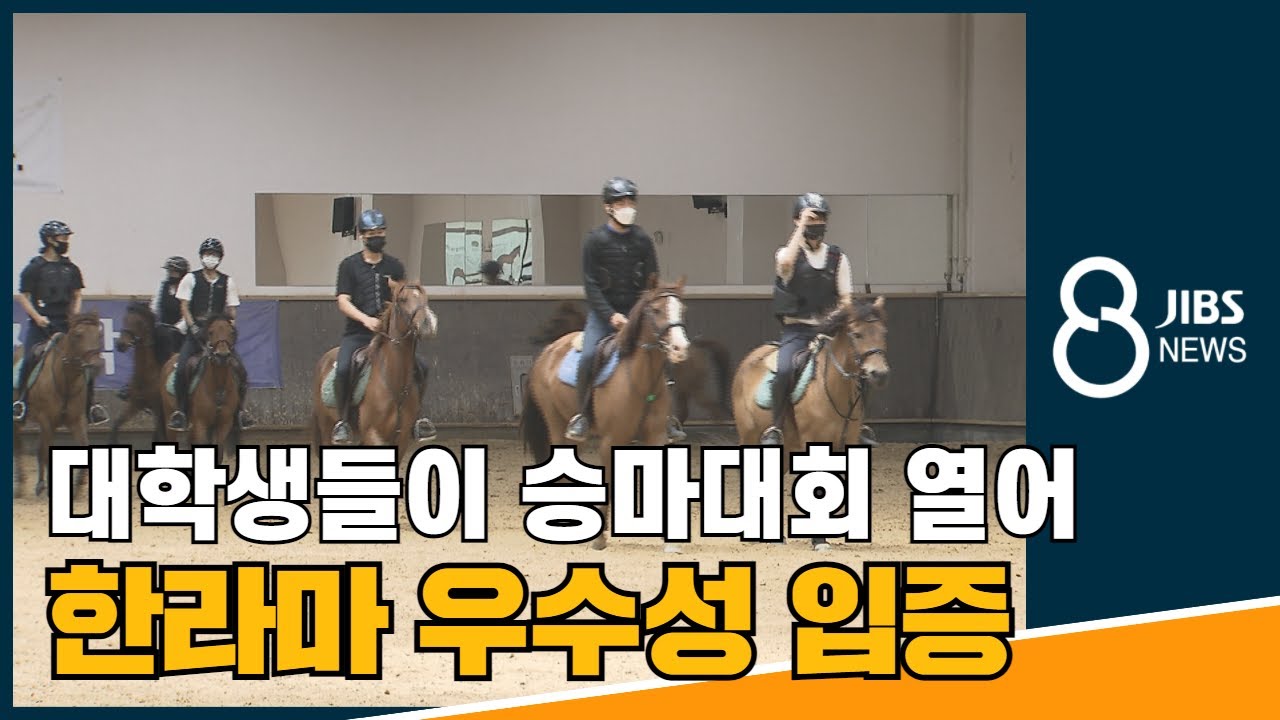 대학생들이 승마대회 열어...한라마 우수성 입증  / JIBS / 제주 / 2021.06.18