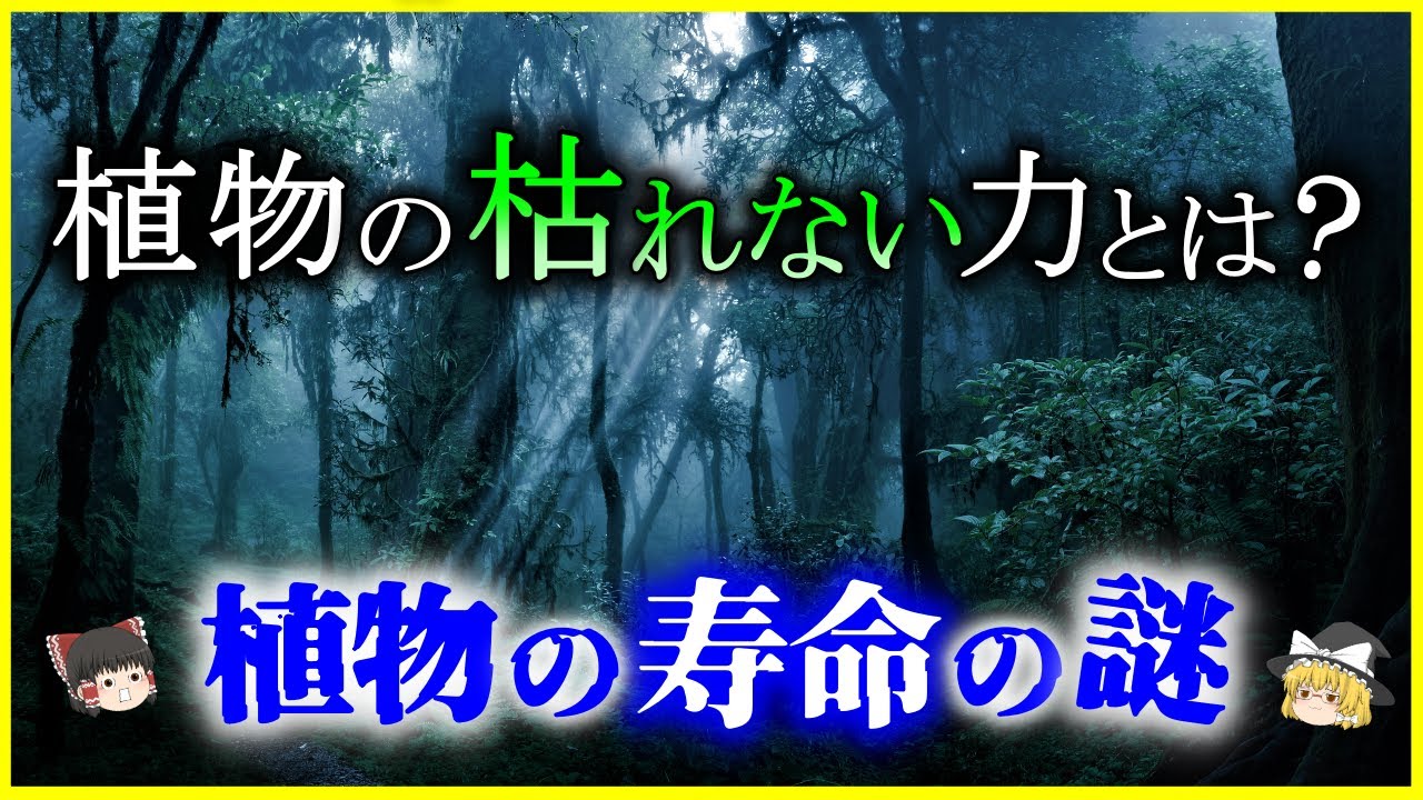 【ゆっくり解説】植物に寿命はあるか？枯れない植物の力と「植物の寿命」の謎を解説/4万年以上生き続ける⁉テロメアと有性・無性生殖の秘密