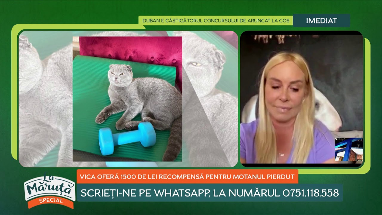 La Măruță: Vica și-a pierdut pisica