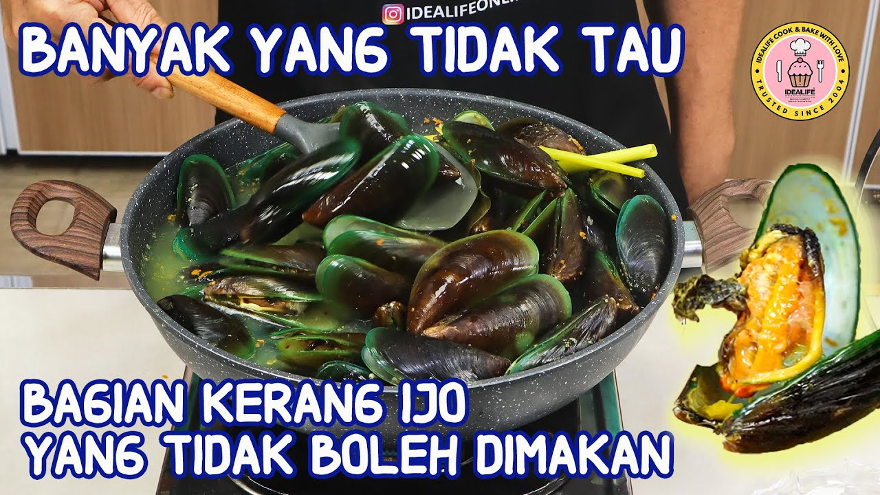 BANYAK YANG TIDAK TAU BAGIAN KERANG IJO YANG TIDAK BOLEH DIMAKAN