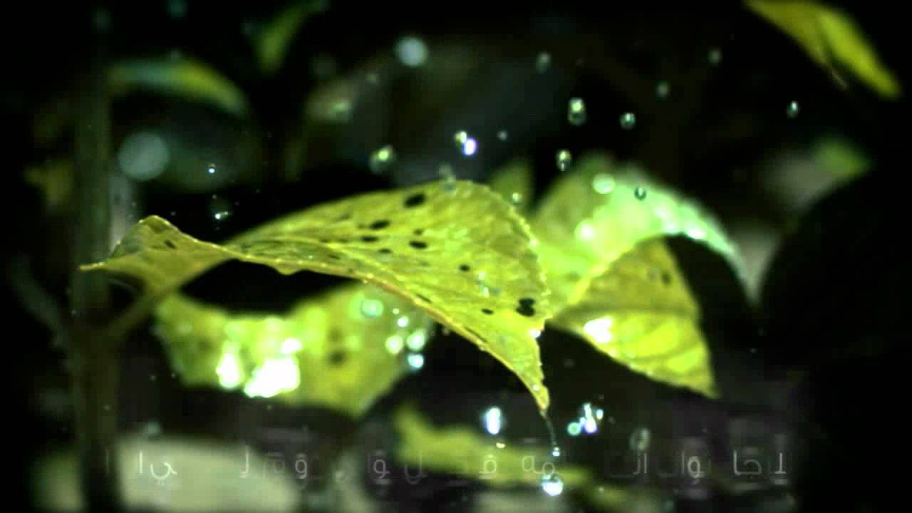 محمد الجباري - الحمد لله ما دام الوجود له