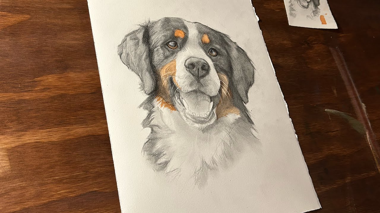 Pet Portrait of &ldquo;Aurora&rdquo; . Timelapse Mixed Media drawing