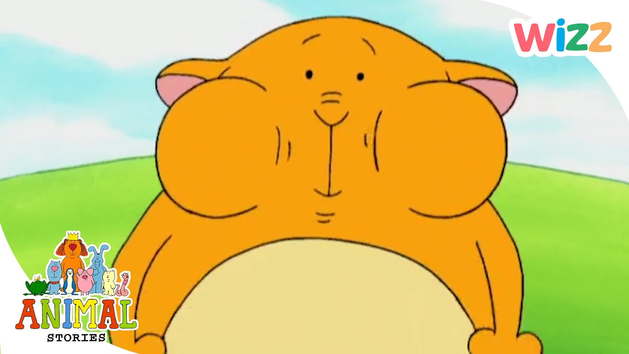 Animal Stories - Clive the Hamster and More Fun Animal Stories. | Full Episodes | Wizz