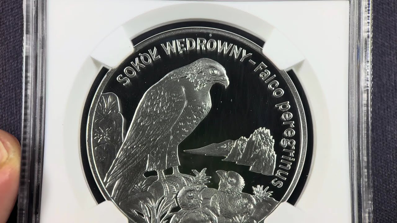 20 złotych 2008 - Sokół wędrowny