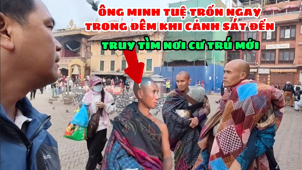 🔥 Đoàn Ông Minh Tuệ Trốn Sự Truy Tìm Của Cảnh Sát. Truy Tìm Vị Trí Cư Trú Mới