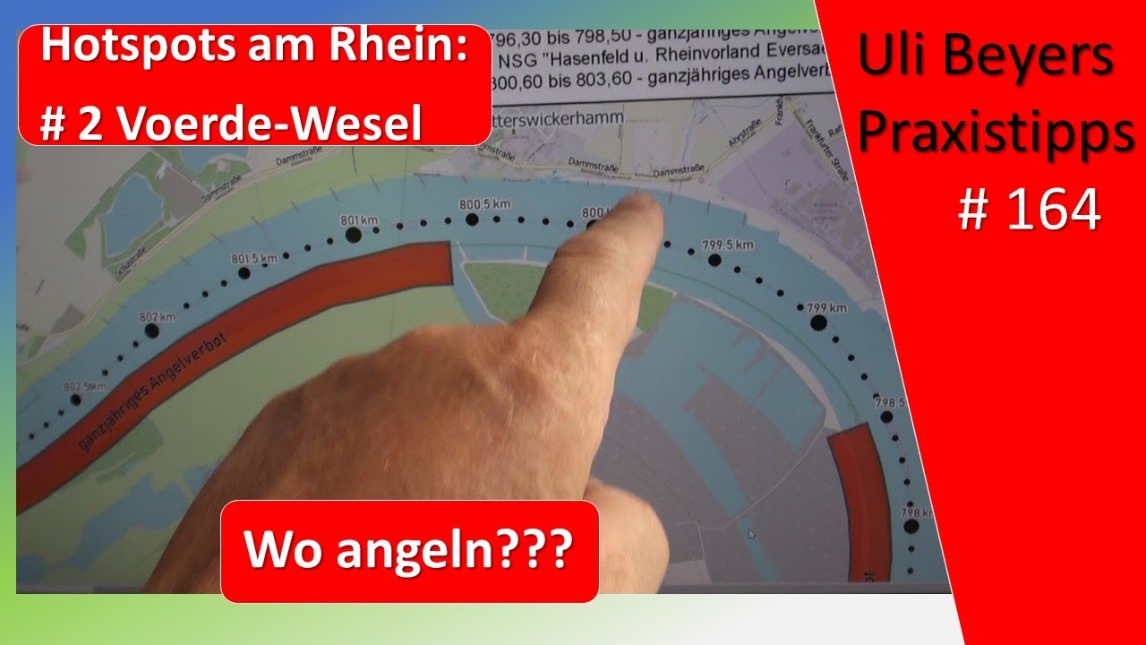 Angeln am Rhein auf Zander: Hotspots von Voerde bis nach Wesel