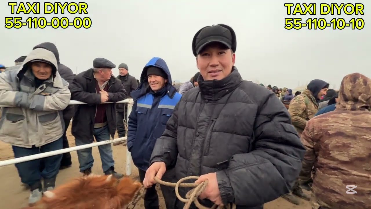 5-ФЕВРАЛЬ/2026/ХАЛКАБАД МАЛ БАЗАРЫ/МАЛ БАЗАР 2026/ДЕМ БЕРМЕС МАЛ БАЗАР/СКОТНЫЙ РЫНОК