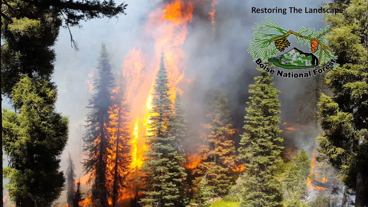 Pioneer Fire Salvage on the Boise National Forest