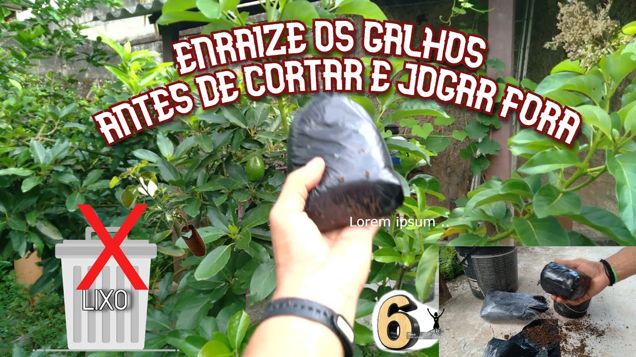 MUDAS do jeito + FACIL do mundo – Antes que você pisque os olhos, já está PRODUZINDO