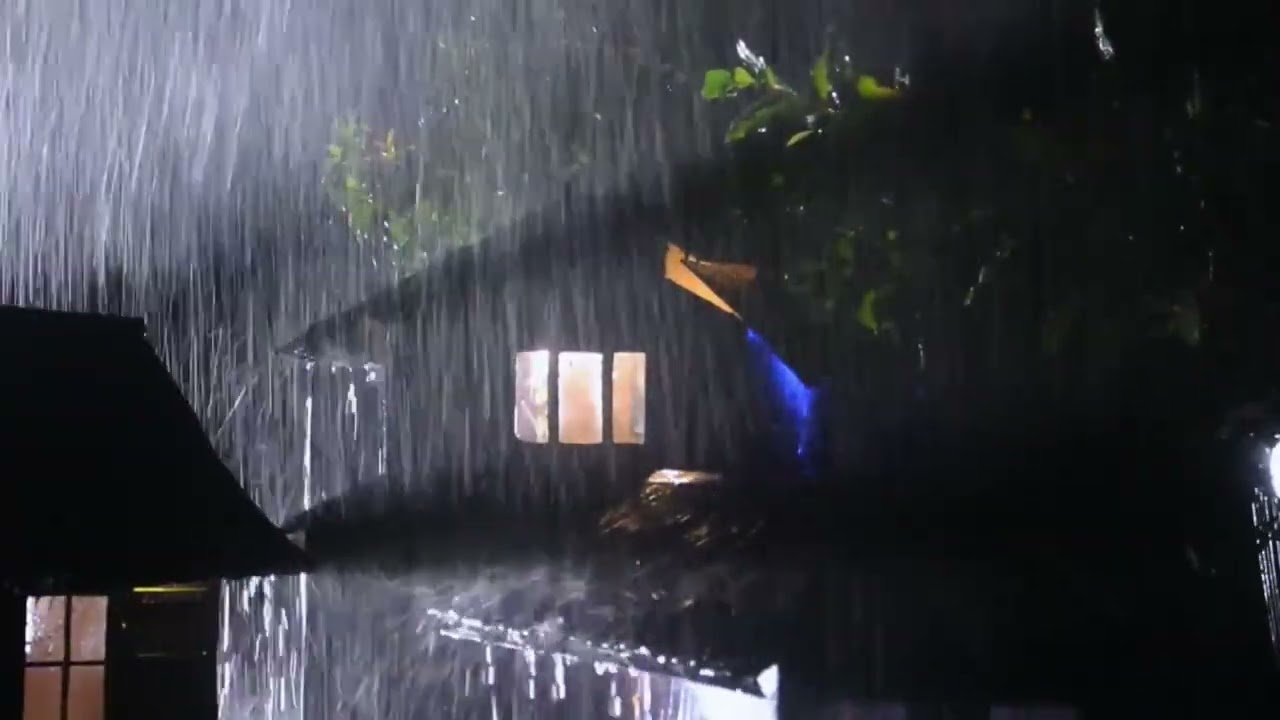 Gentle Rain Tapping for Insomnia Relief