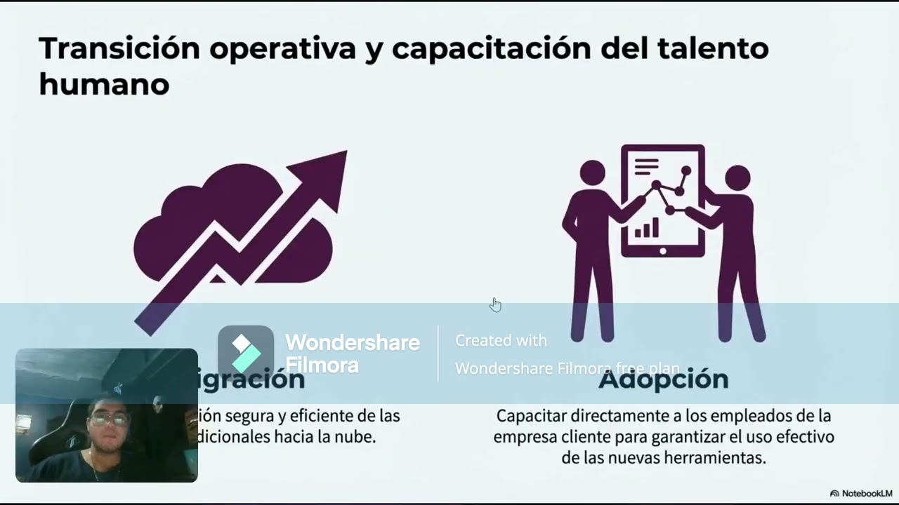 meta 2.1 Identificar Consultores integrados de sistema