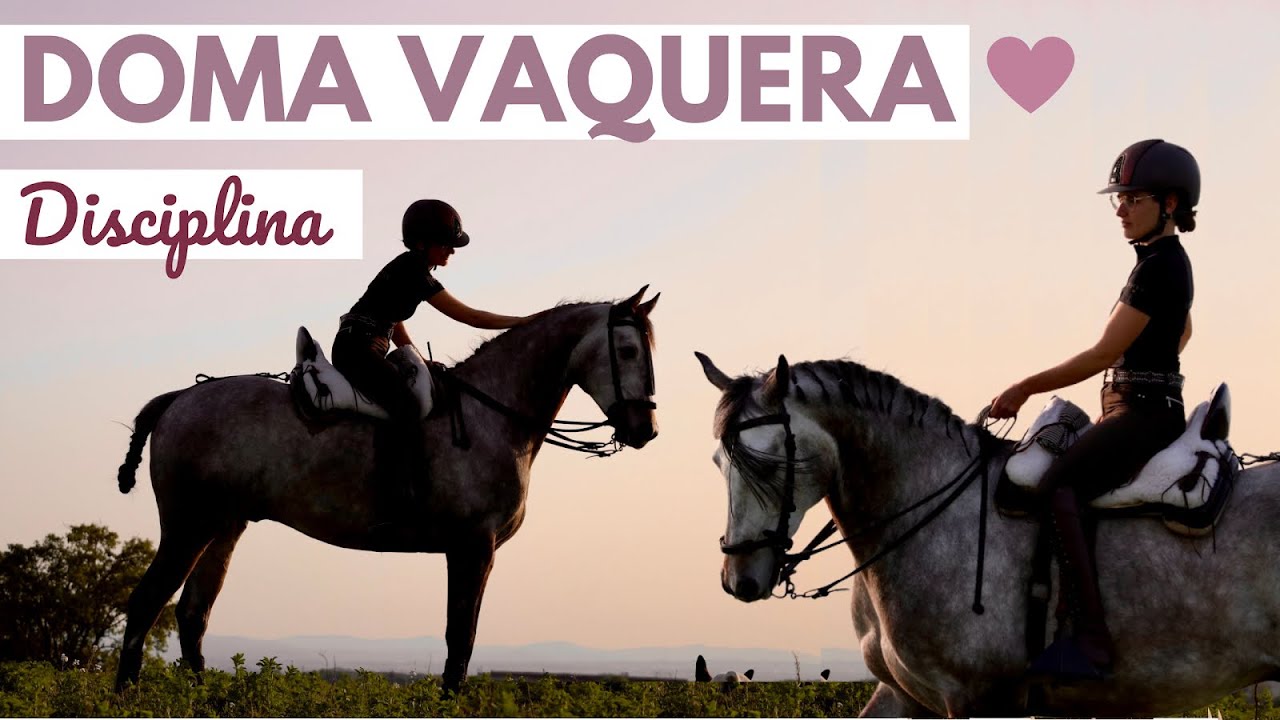 Pruebo la Doma Vaquera - DISCIPLINA