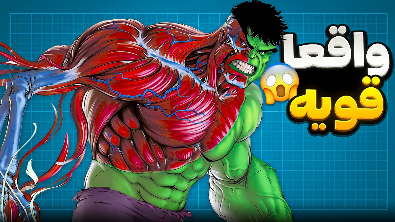 آناتومی هالک | قدرتمند ترین هیولای تاریخ ❗🤯