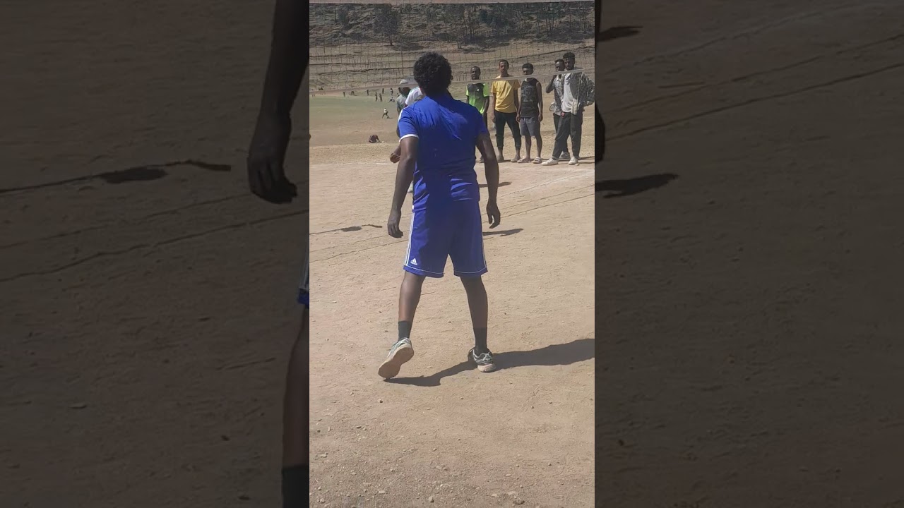 መረብ ኳስ