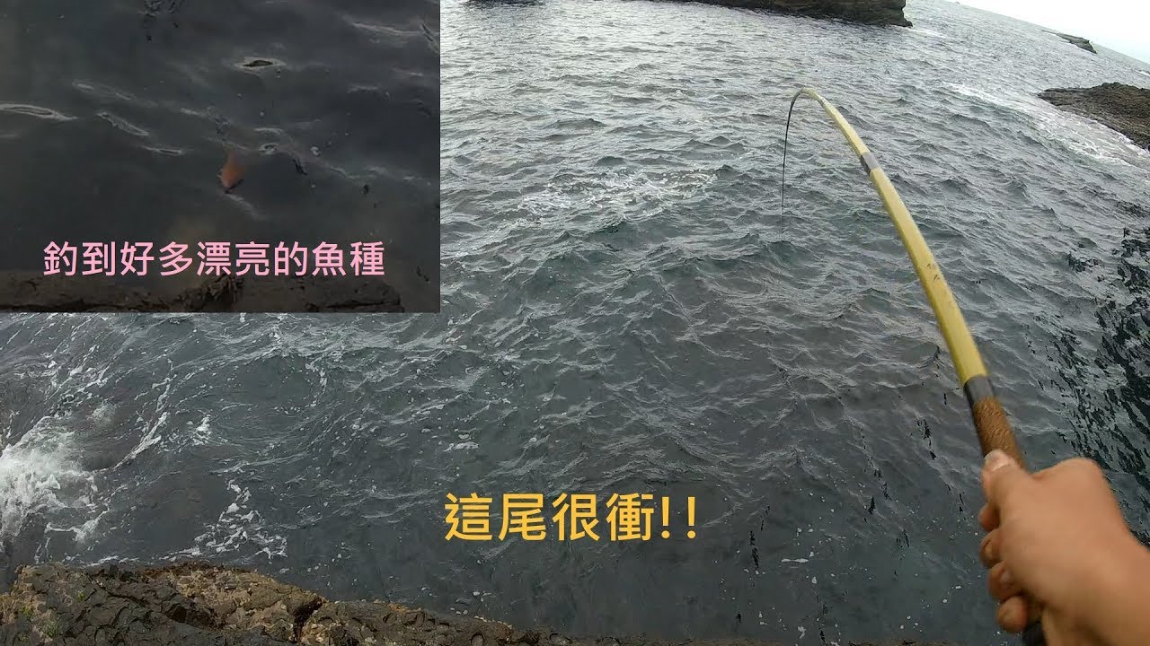 大溪漁港岩礁區手竿博魚  20190530 [嘟嘟釣魚狂#25]