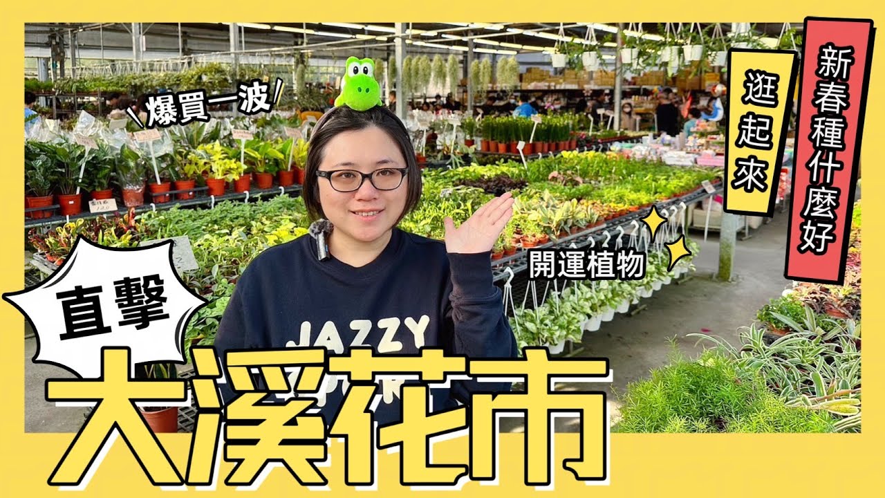 新年直擊！大溪花市逛起來！百元觀葉植物爆買一波！
