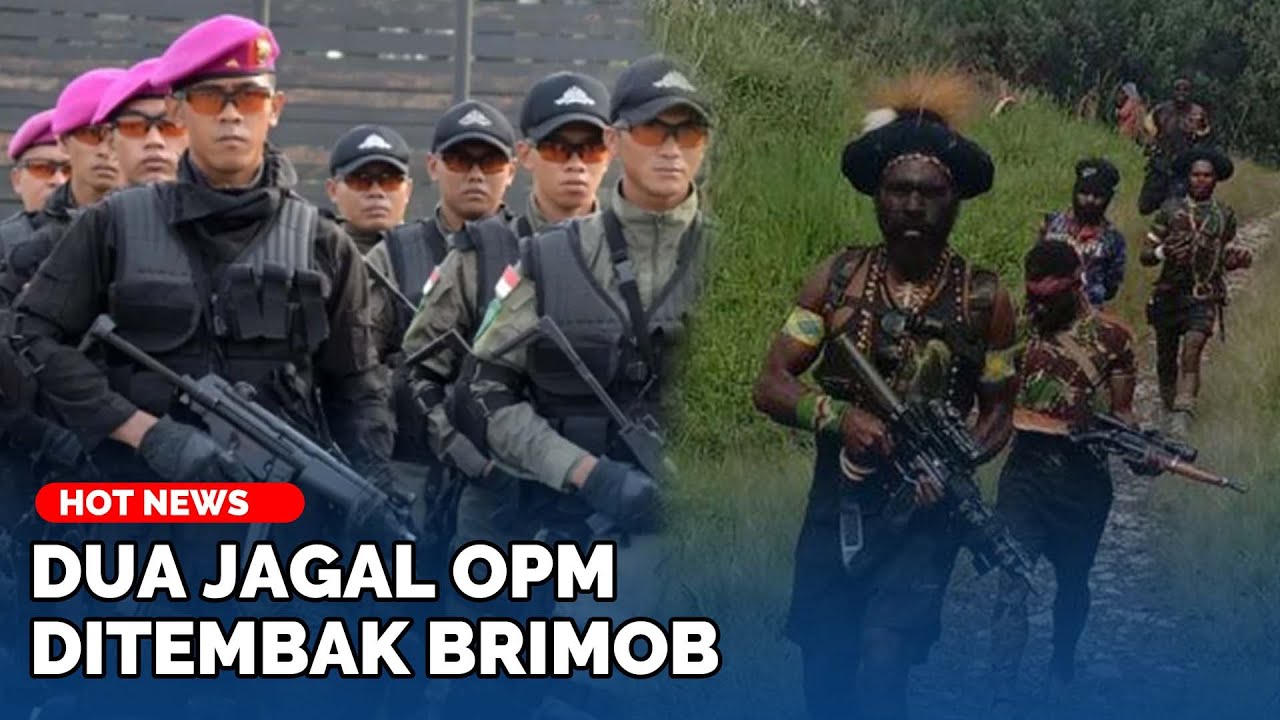 Detik-Detik Mencekam Brimob vs OPM di Nabire, Terlibat Baku Tembak, Dua 
