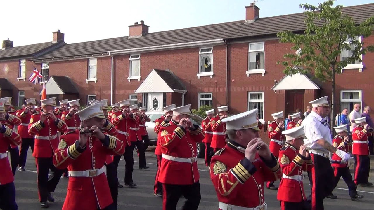 Gertrude Star FB 1 - 12th July Morning Belfast 2013