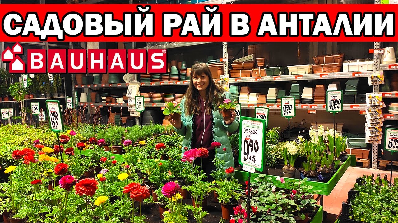 САДОВЫЙ РАЙ В АНТАЛИИ /BAUHAUS - Эраста/ Где купить саженцы деревьев, цветов, семена /Анталия на ПМЖ
