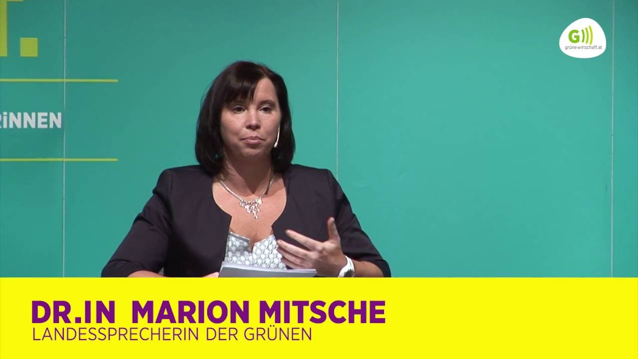 Podiumsdiskussion TTIP Full Teil 1/2