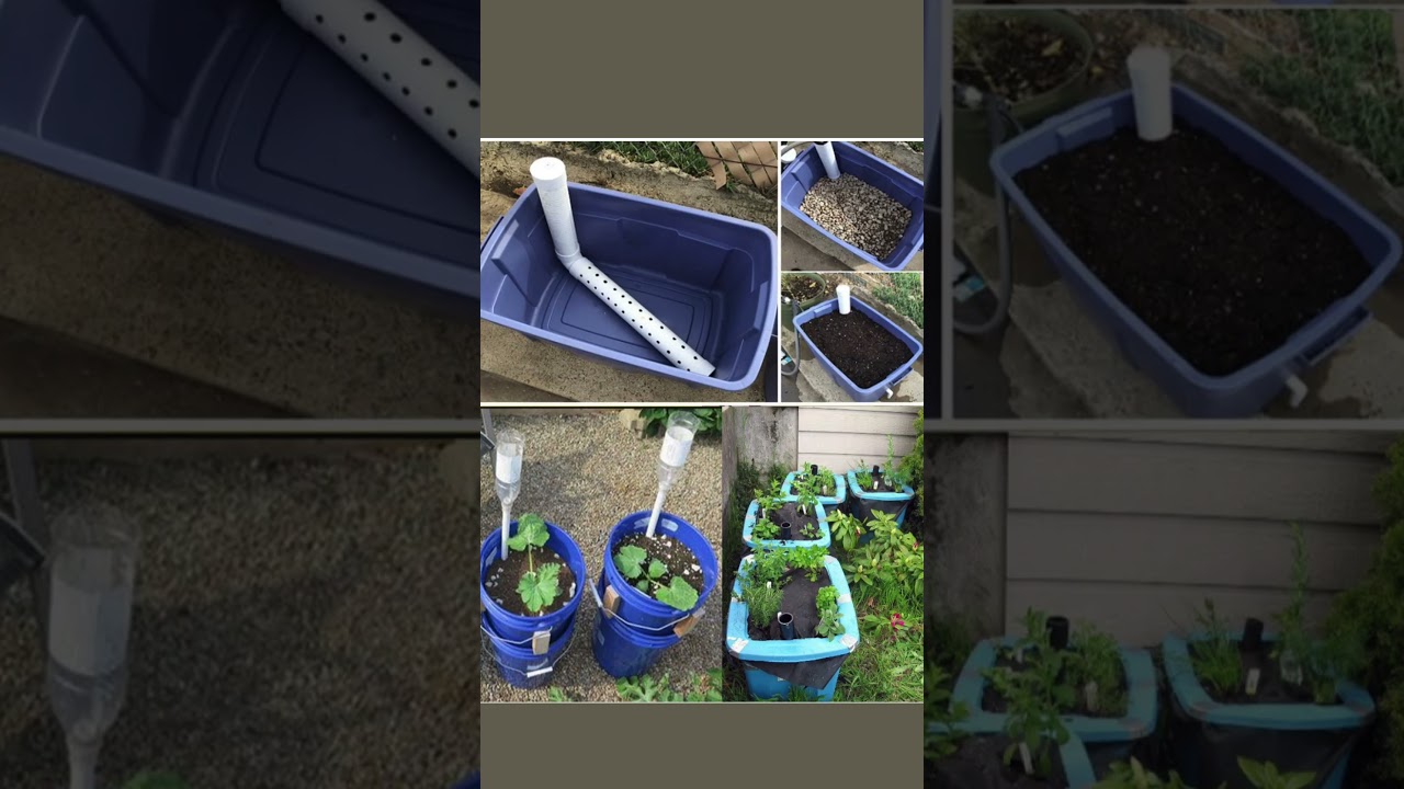 DIY Self-Watering Containers: Step-by-Step Guide for Efficient Gardening 🌱