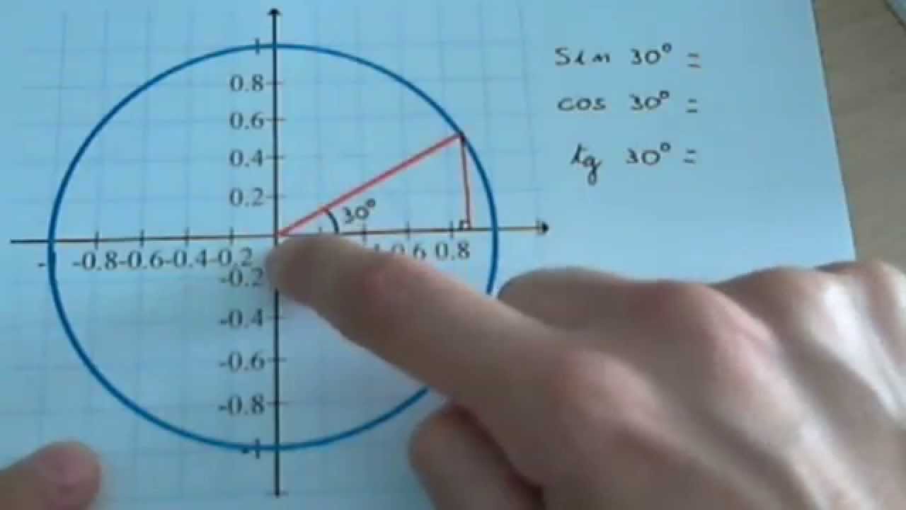 Trigonometr&iacute;a: Circunferencia goniom&eacute;trica
