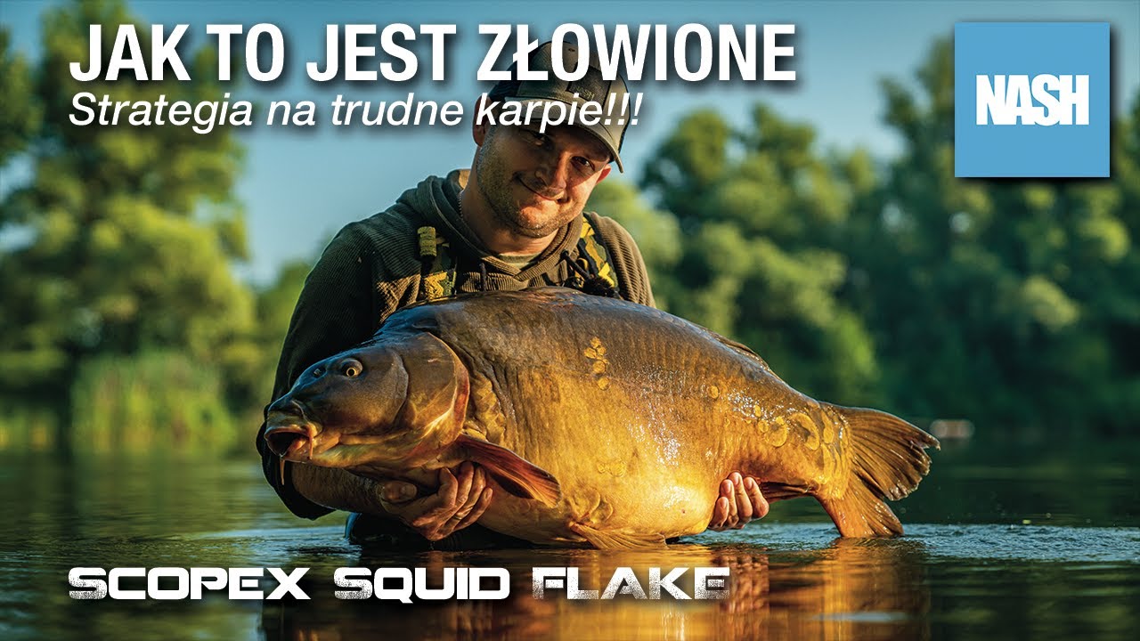 Jak to jest złowione  - Strategia na trudne karpie - Scopex Squid Flake