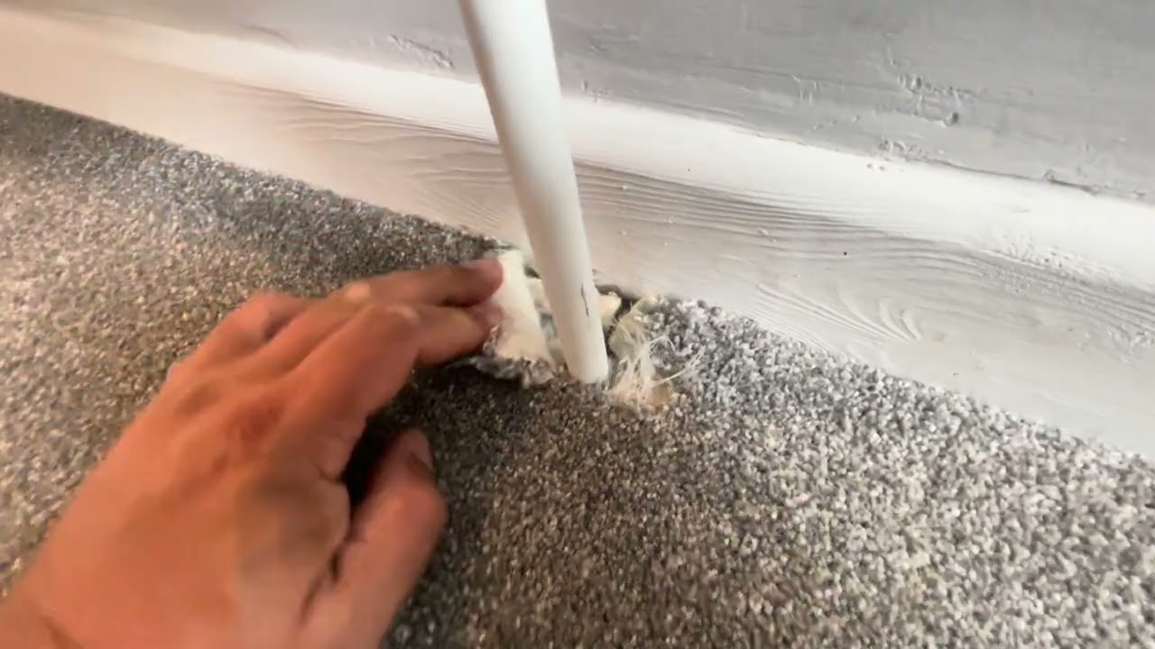 Carpet cleaning tips & tricks (FOR PROFESSIONALS)