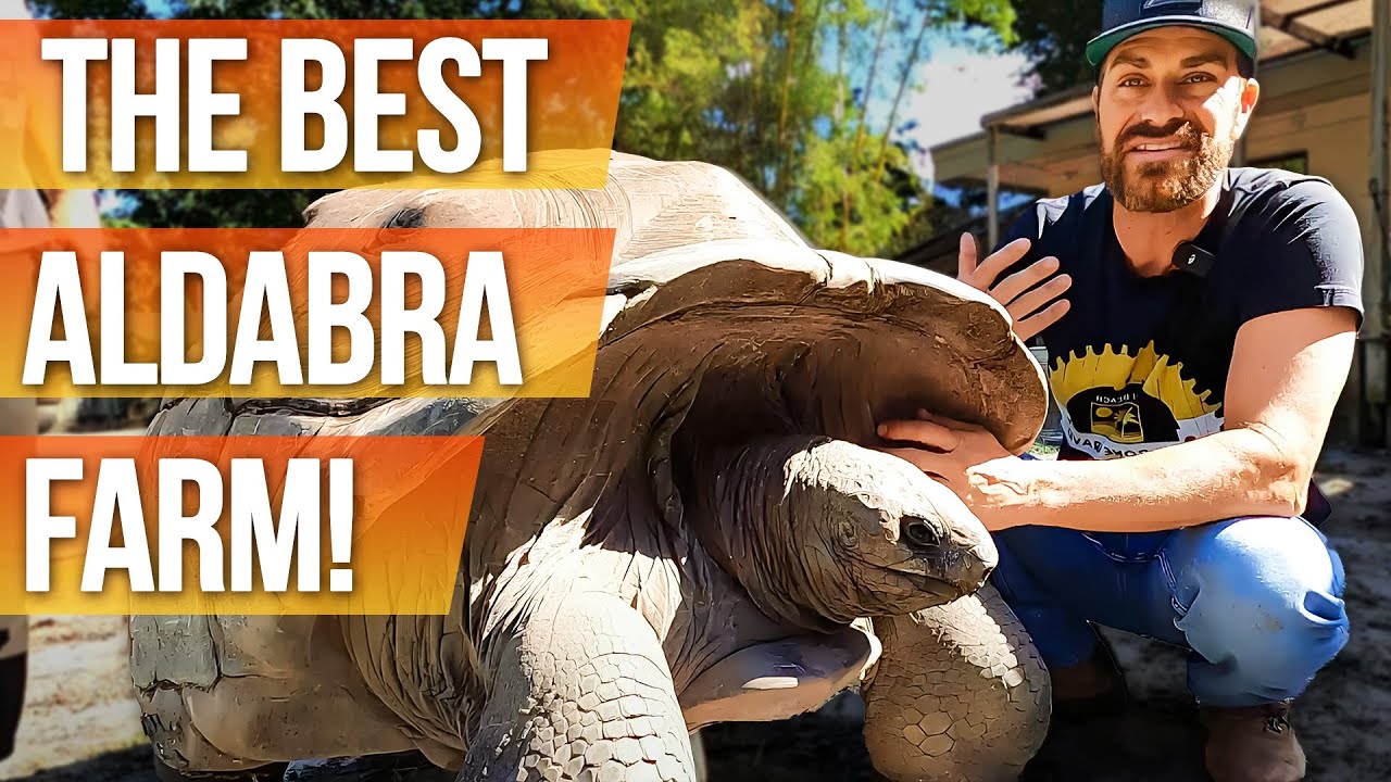 The Ultimate in Aldabra Knowledge!