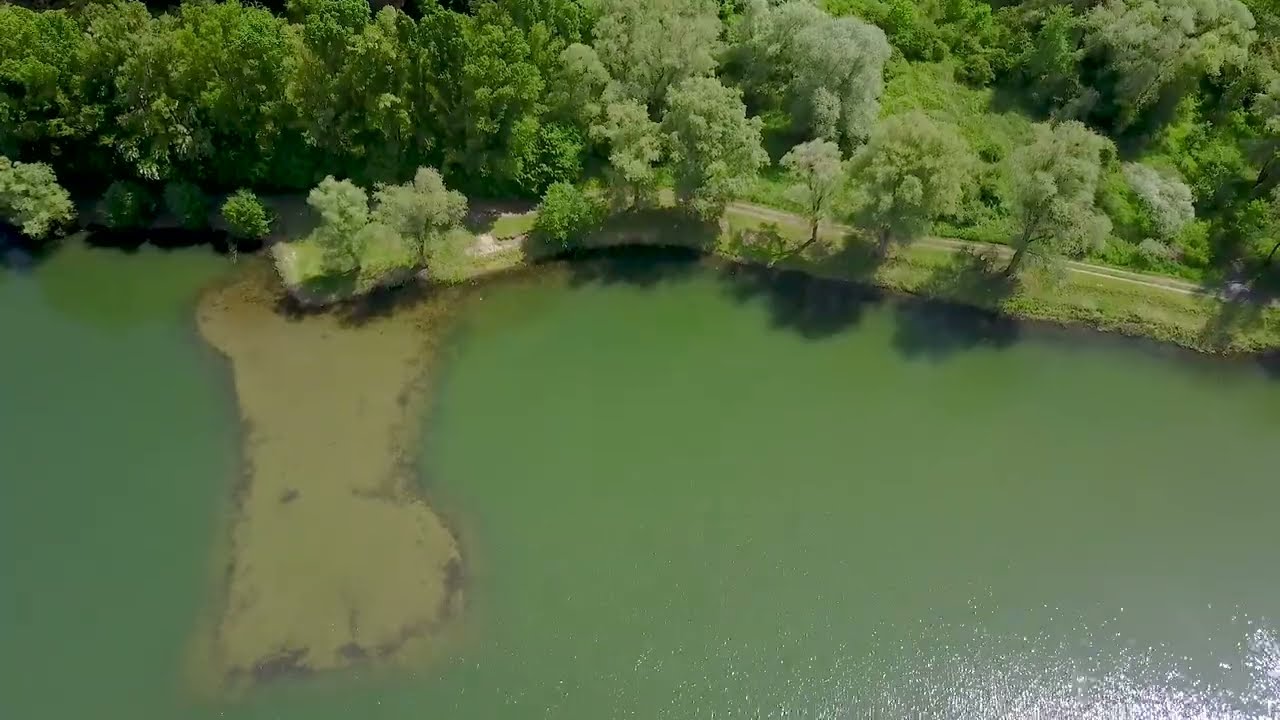 Etangs n°7 du GVOC