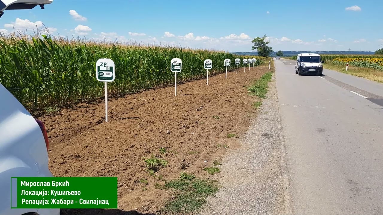 Pokazni ogledi ZP hibrida, centralna Srbija -  2022.