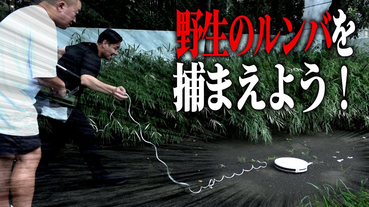 【捕獲】野生化したルンバを捕まえよう