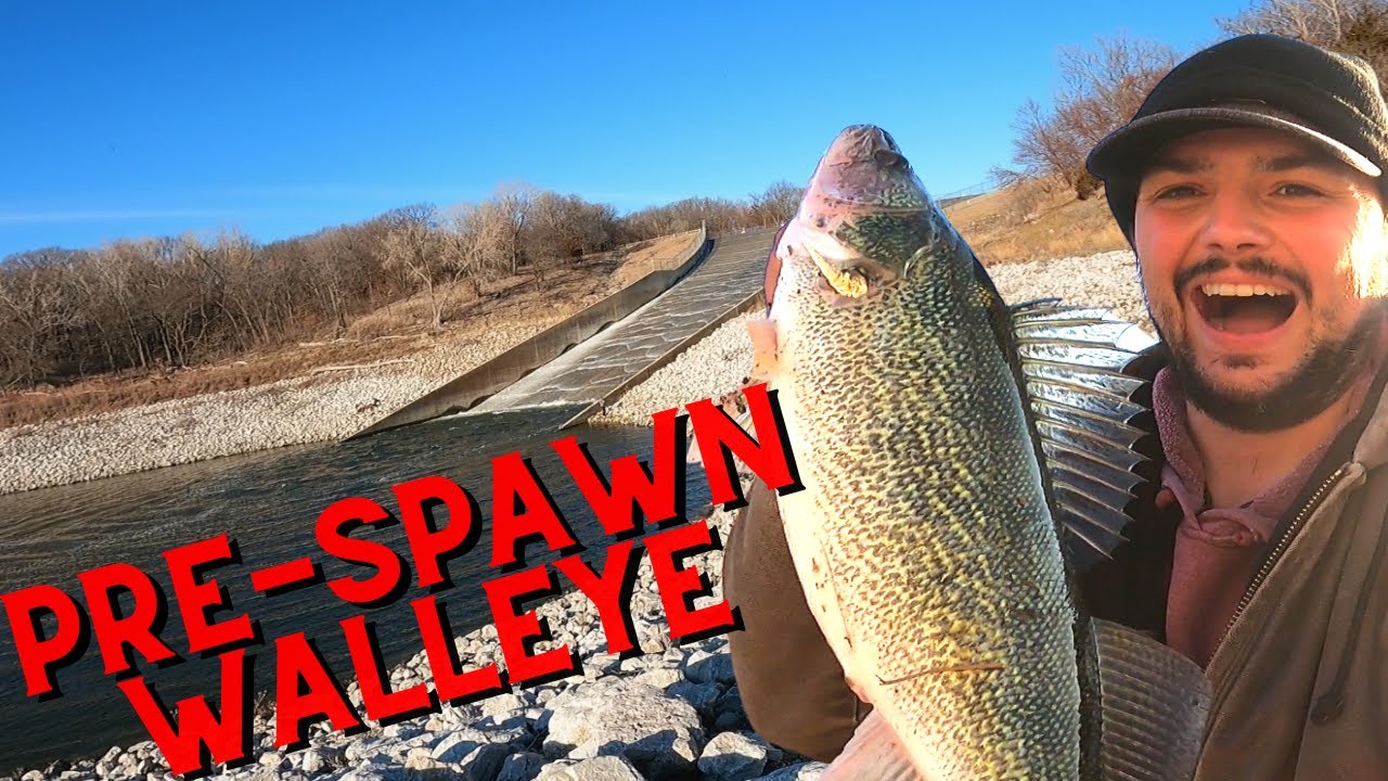 Spillway Fishing for Pre-Spawn Walleye!