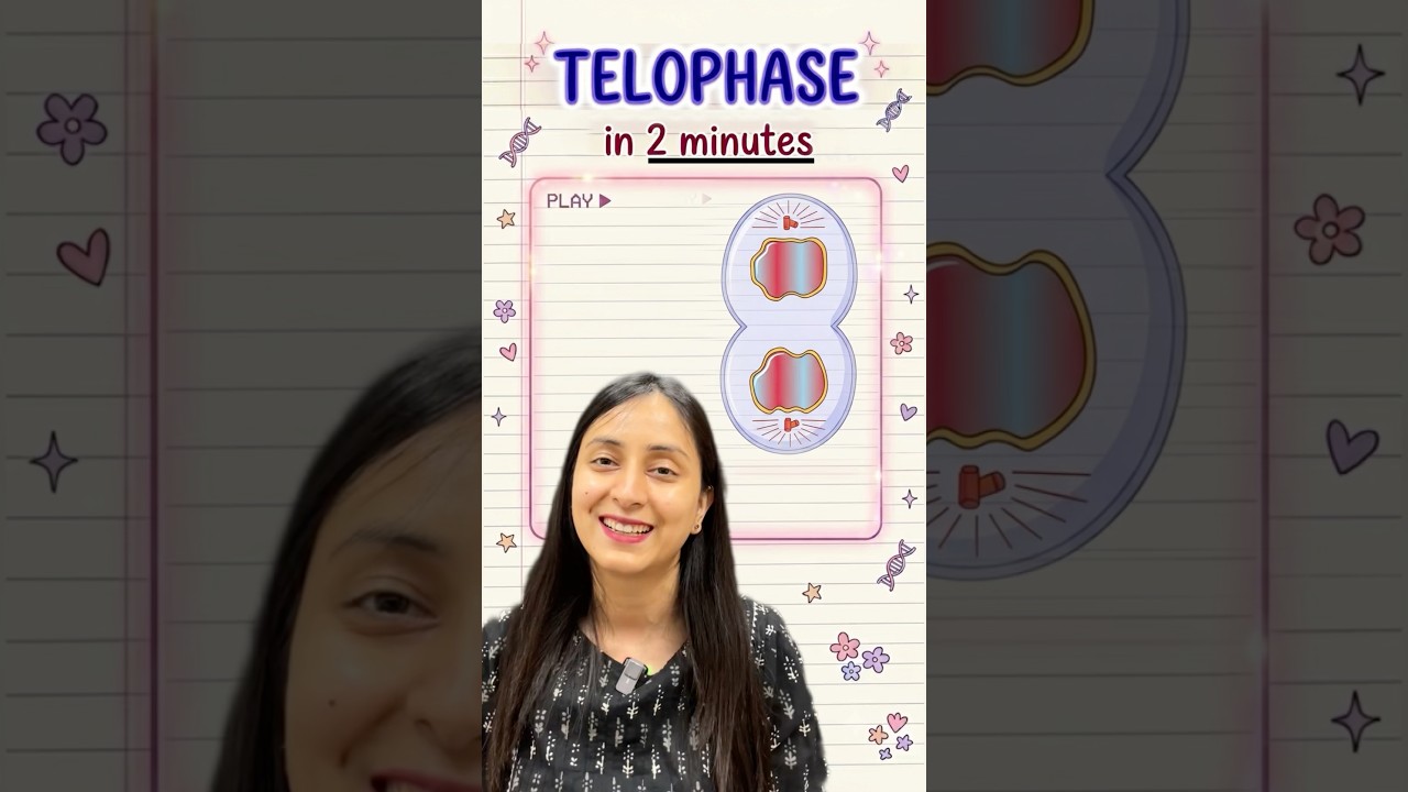 Telophase | M-Phase | Cell Cycle & Cell Division #shorts #neet #class11 #study #biology #ytshorts