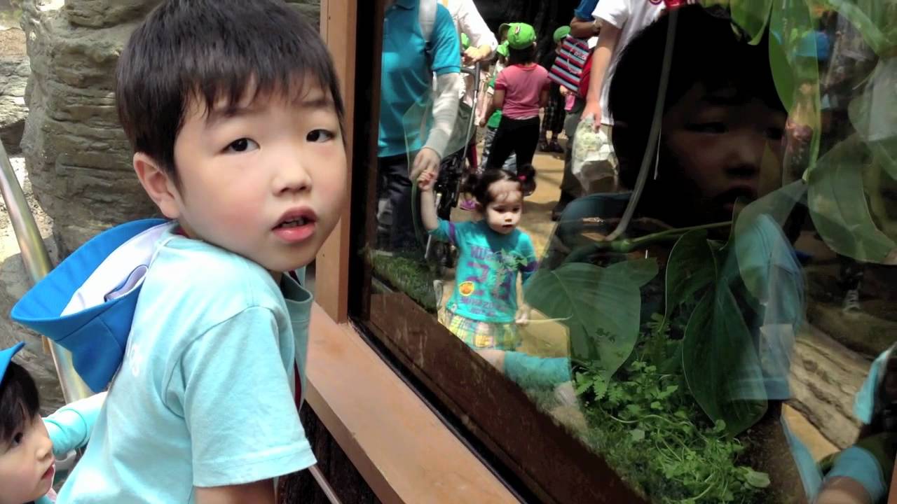 School trip to Ueno Zoo, Tokyo