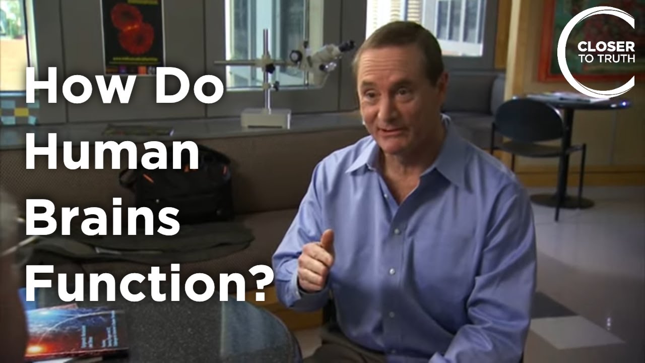 Robert Bilder - How do Human Brains Function?