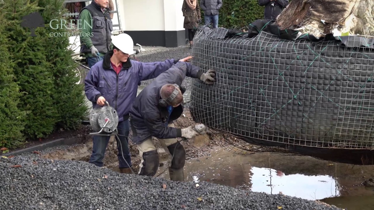 Bijzondere operatie: verhuizing van 200-jarige plataan uit Spanje