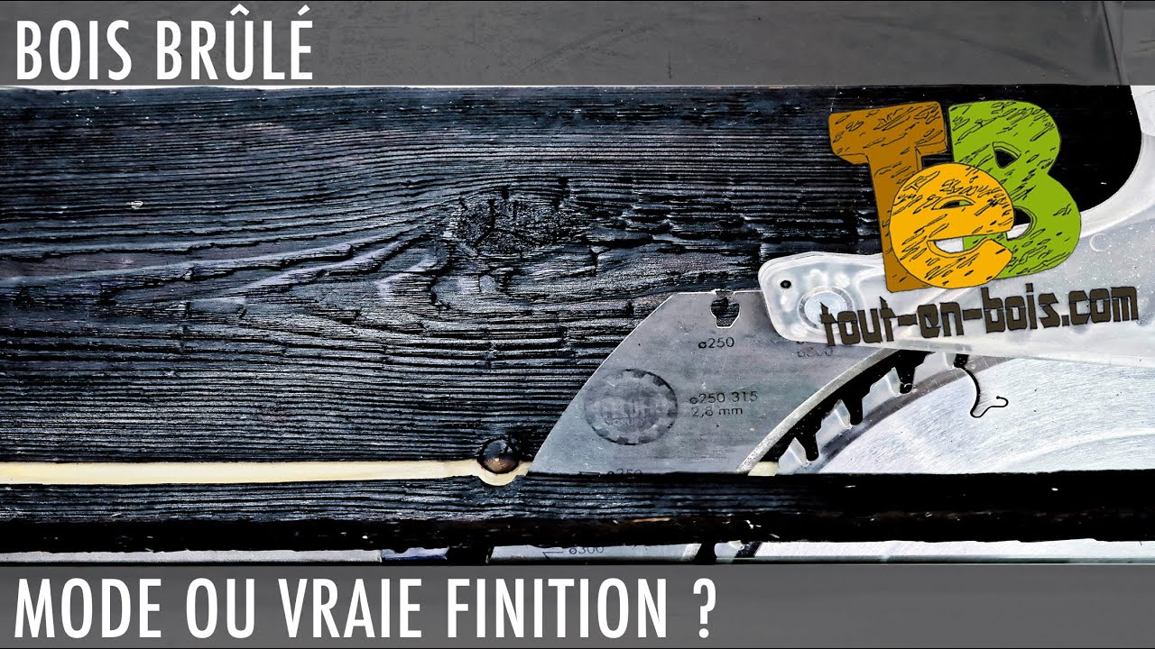 Partage d’expérience : La technique du bois brulé 1an après !