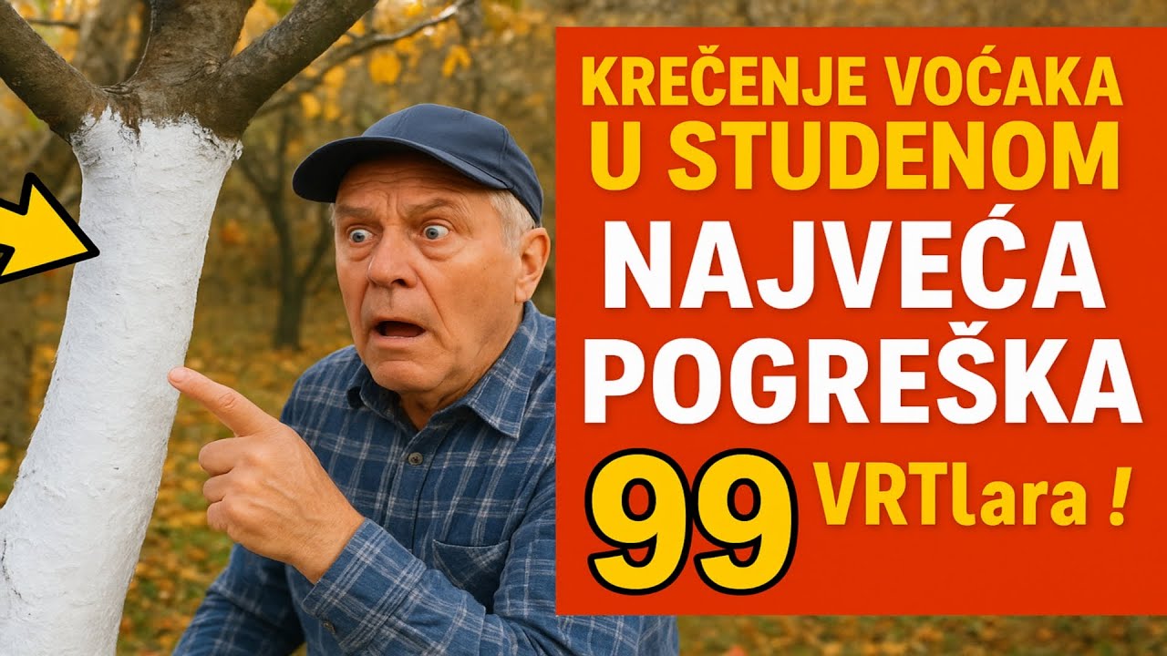 Krečenje voćaka u studenom: NAJVEĆA POGREŠKA 99% vrtlara! | Razotkrivanje mita.