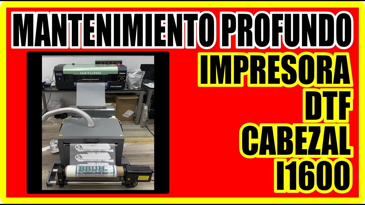 MANTENIMIENTO PROFUNDO IMPRESORA DTF I1600 - CABEZALES - DAMPERS - LIMPIEZA