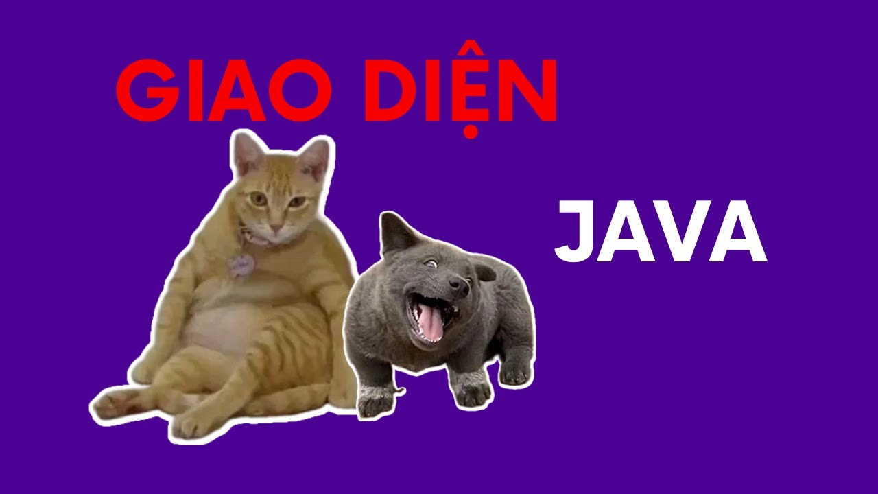 Tất Tần Tật Về Interface Trong Java - Bạn Đã Biết Chưa? | Code Thu