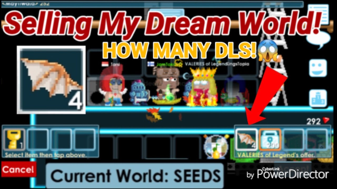 Selling My Dream World 